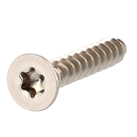 Eco-Syn pour Thermoplastiques TF Torx 3X12 Inox A2