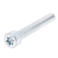 TC Torx M3X30 Acier Classe 8.8 Acier Zingué Blanc ISO 14579