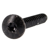 Vis de Penture TRL Torx 6X35 Acier Zingué Noir