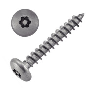Vis Tôle Inviolable Tête Bombée Torx + Téton 3.5X13 Inox A2
