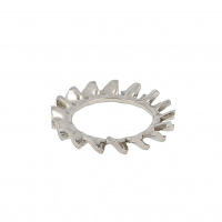 Lock Washers