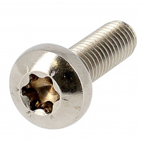 Hexalobular /Torx large button head screw
