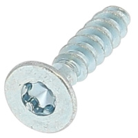 Plastite TF Torx 3X12 Acier Zingué Blanc Wn 1423