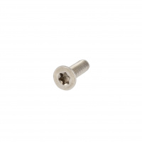 TF Torx M8X40 Inox A2 ISO 14581