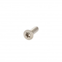 TF Torx M2X20 Inox A4 DIN 965