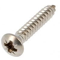 Raised Countersunk Pozidriv Head