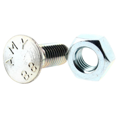 TF avec Collet Carré M12X100 Acier 8.8 Zingué Blanc DIN 608 + Écrou