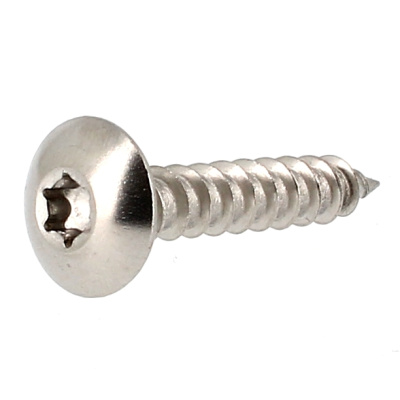 Vis de Penture TRL Torx 6X25 Inox A2