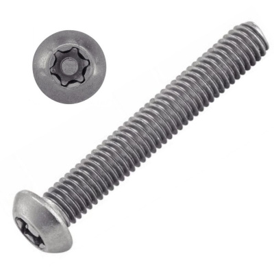 VIS INVIOLABLE TB TORX + TETON M4X16 INOX A2