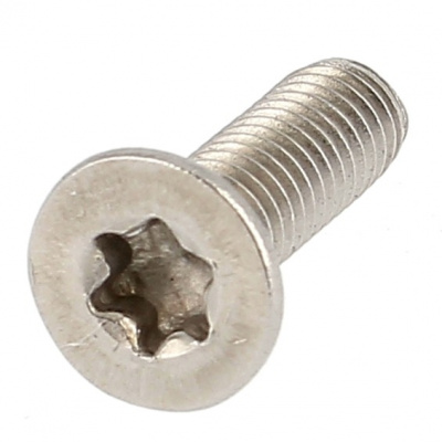 TF TORX M3X4 INOX A2 ISO 14581