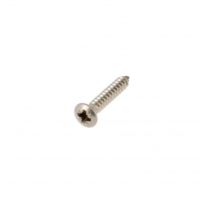 Pozidriv Raised Countersunk Head