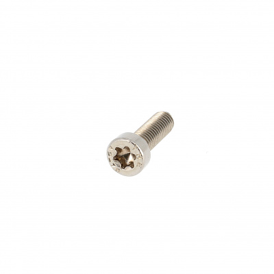 Gezamenlijke selectie Kaal afstuderen TETE BASSE TORX M2X8 INOX A2 ISO 14580