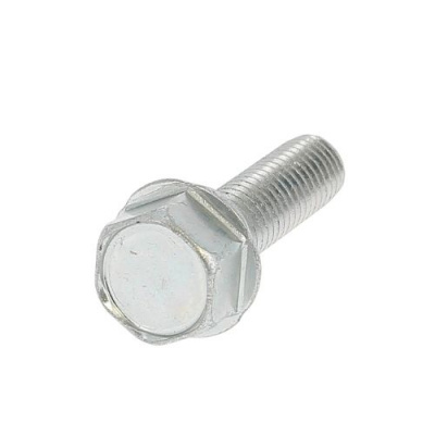Thread-forming, Flanged224