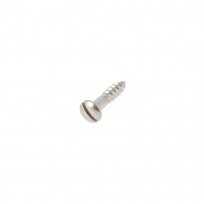 Slotted Raised Countersunk Head