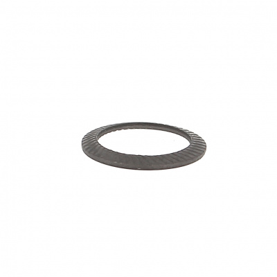 Washer, Schnorr S, Black Steel